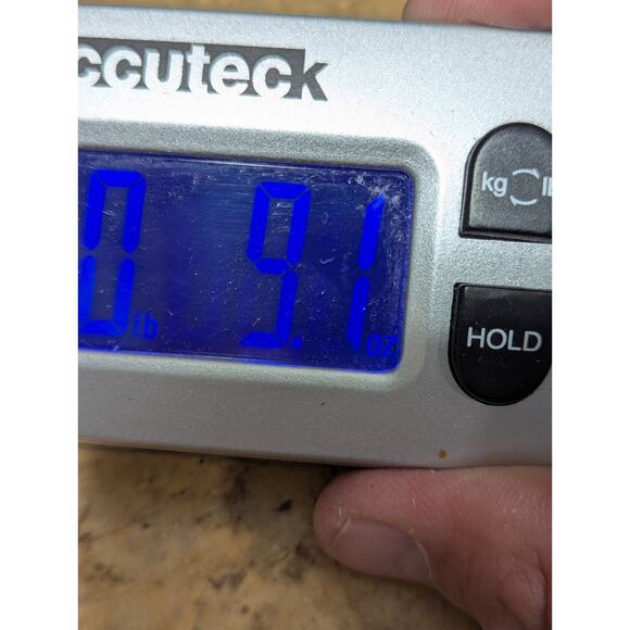 LL Bean Shorts Womens Large Padded Lined Trail Cycling Mountain Biking Nylon - Picture 9 of 10